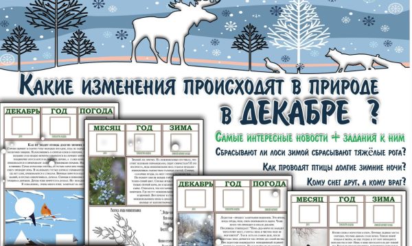 [Увлекательное обучение] Интерактивные Лесные газеты. Декабрь (Солдатова Елена)